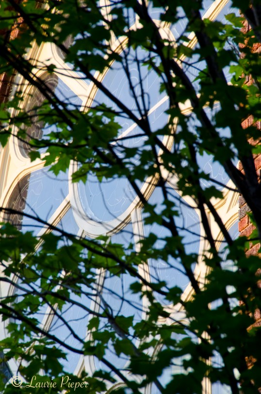 Seven Dolors Main Window