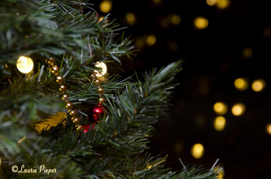 ChristmasTreeReflections