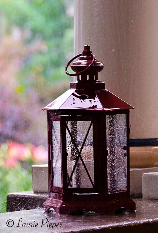 LanternInRainCropped