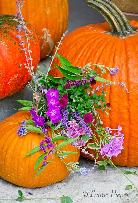Pumpkins&Flowers