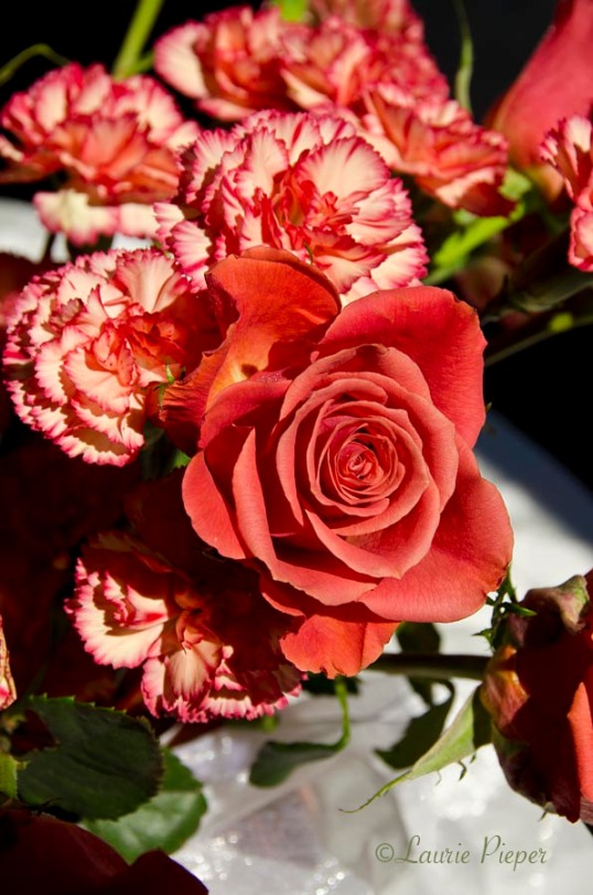 Roses&CarnationsOrange